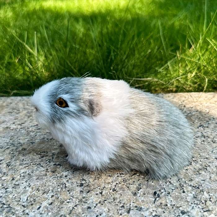 Toy Doll Color Yellow Hamster