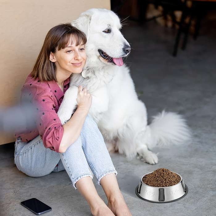 Pet Supplies Model Size  5.9 Inches   15 Cm