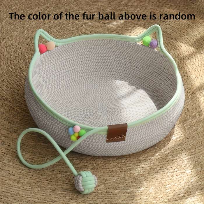 Pet supplies color Blue