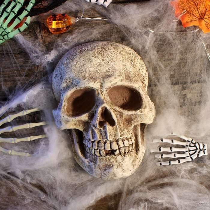 Halloween Decorations Color Front Skull