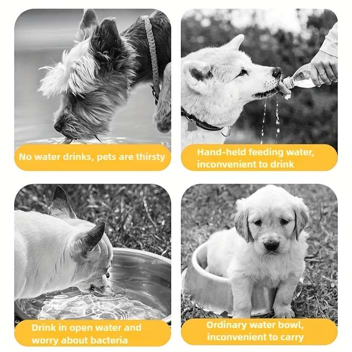 Pet Supplies Color Grey Items Large Drinking Water