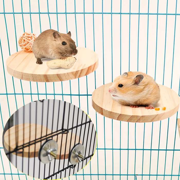 Pet Supplies Style Variety 1