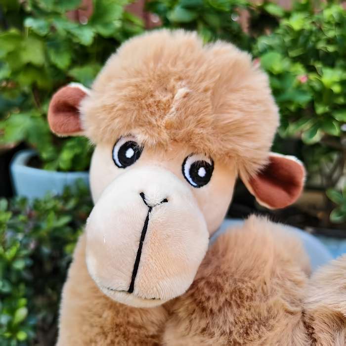 Toy Dolls Model Camel