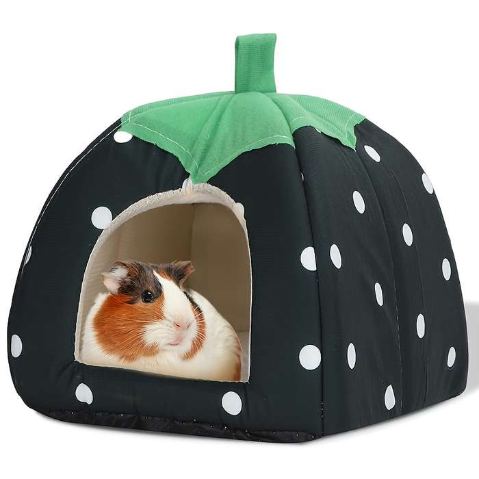 Pet supplies color Red