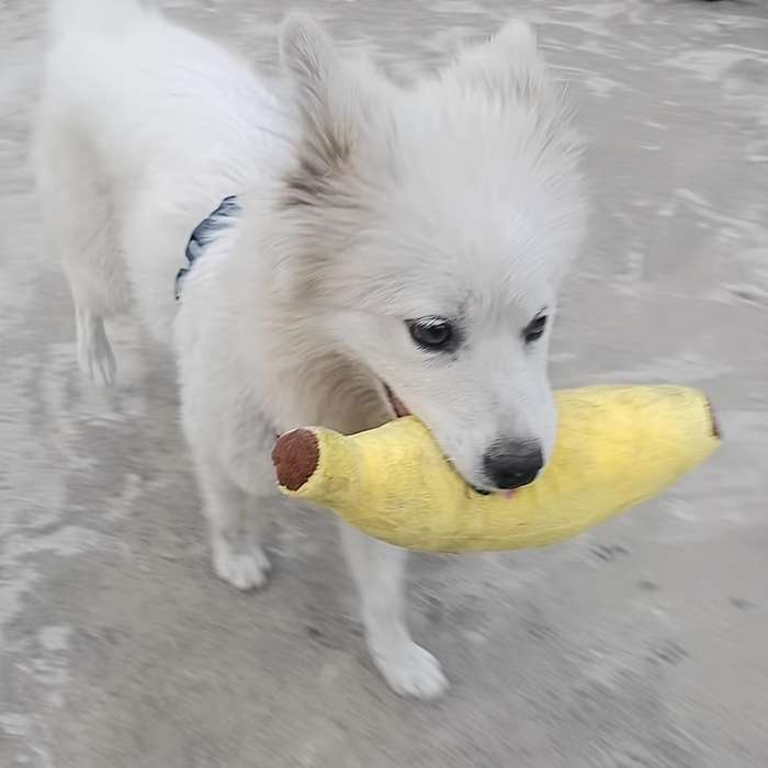 Pet Supplies Items Plush Sounding Banana Trumpet