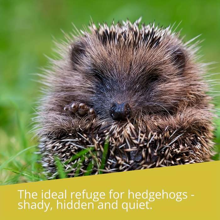 Pet Supplies Model Curved Hedgehog House 34 X 19