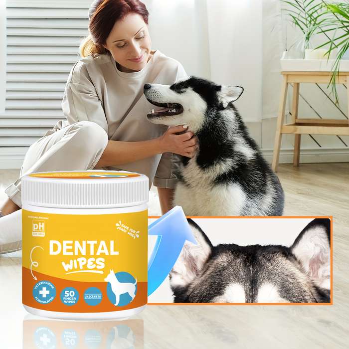 Pet supplies Quantity 1 Box