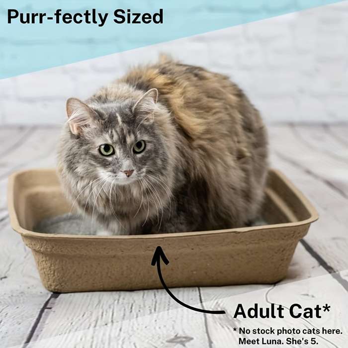 Pet supplies Quantity 4pcs  pack