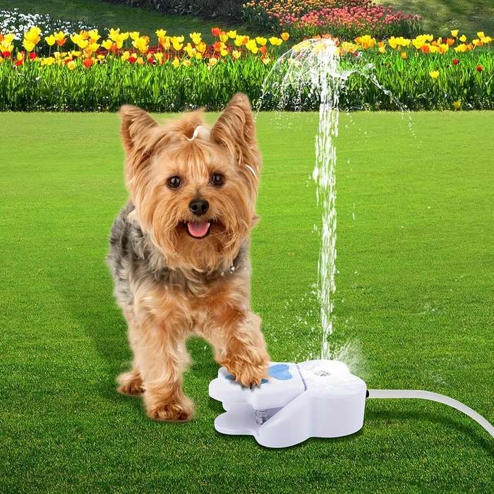Pet Supplies Color White