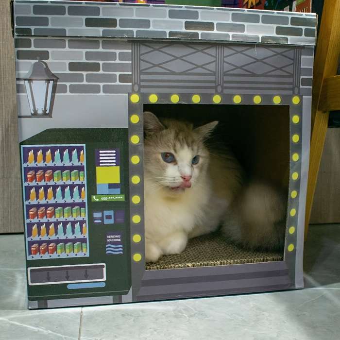 Pet Supplies Color Game Room Cat Scratcher