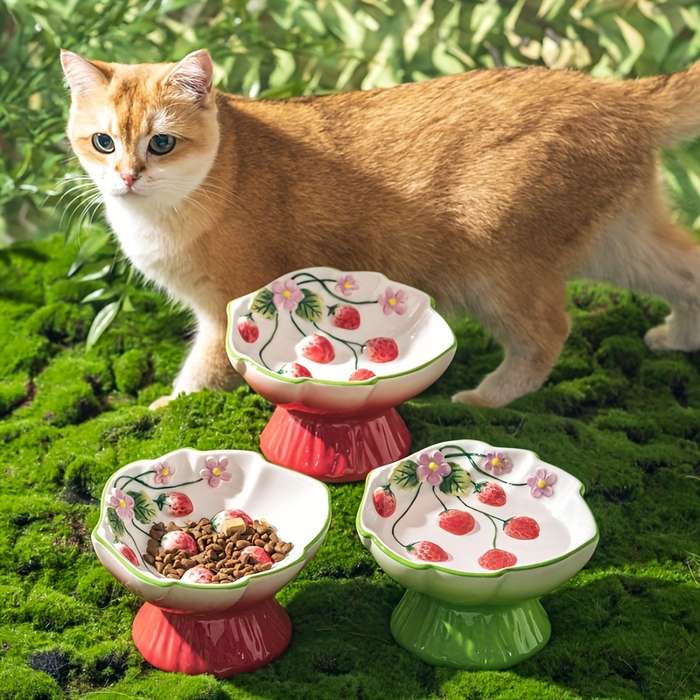 Pet Supplies Color Hand Painted Strawberry Highball Glass   Pink