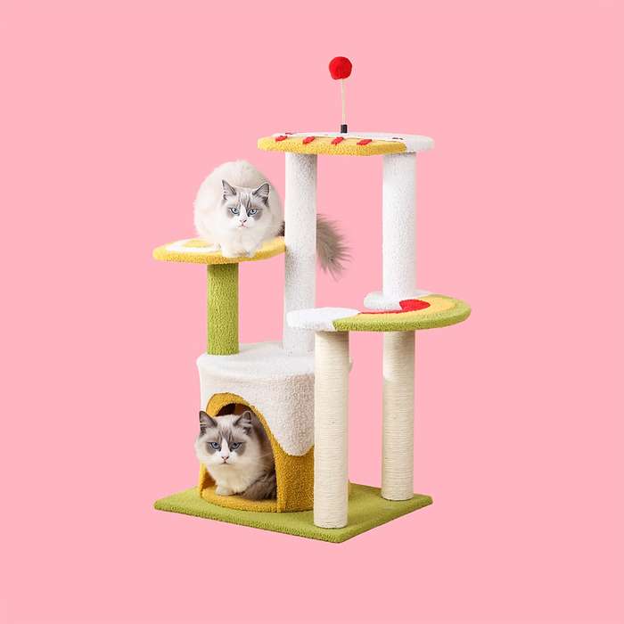 Pet Supplies Model Four  Layer