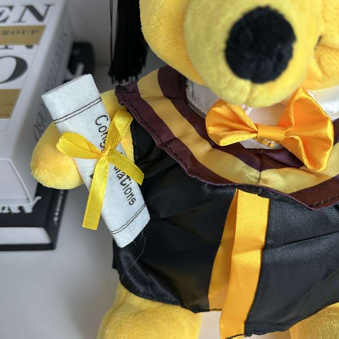 Toy Doll Items Pooh