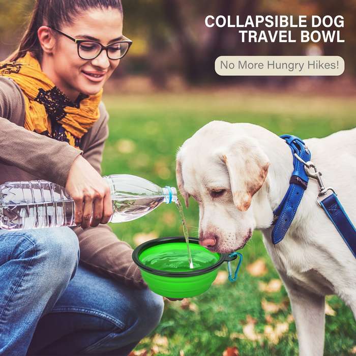 Pet Supplies Style Rainbow 1 Capacity 350Ml