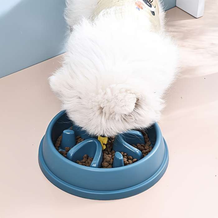 Pet Supplies Quantity 6Pcs