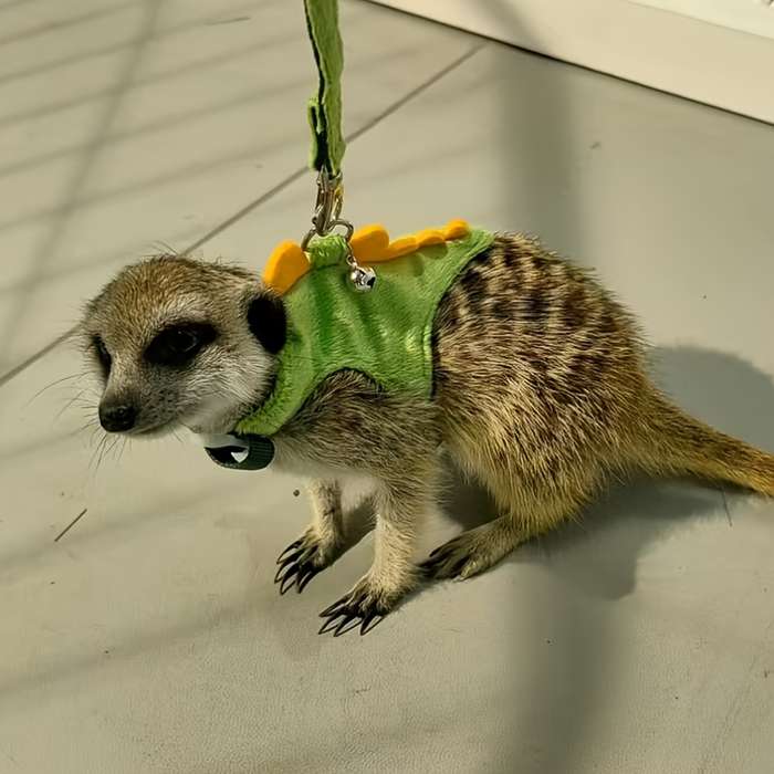 Pet Supplies Color Yellow  Green Size One  Size