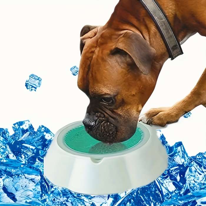 Pet supplies color Blue
