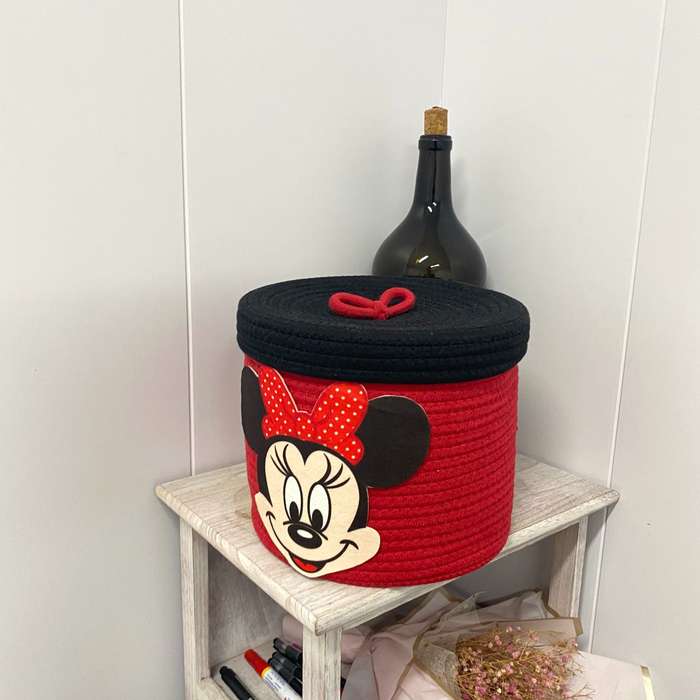 Storage And Organizationcolor Mickey