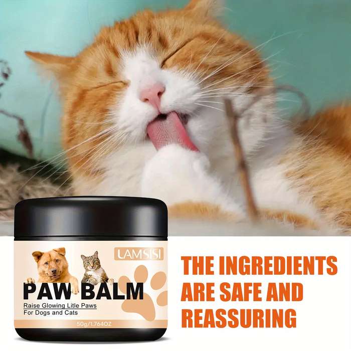 Pet supplies Capacity 50g