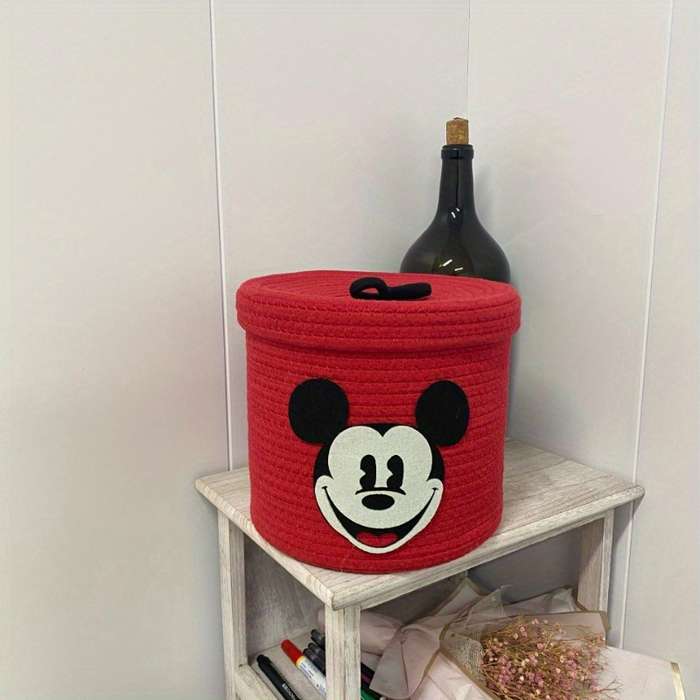 Storage And Organizationcolor Mickey