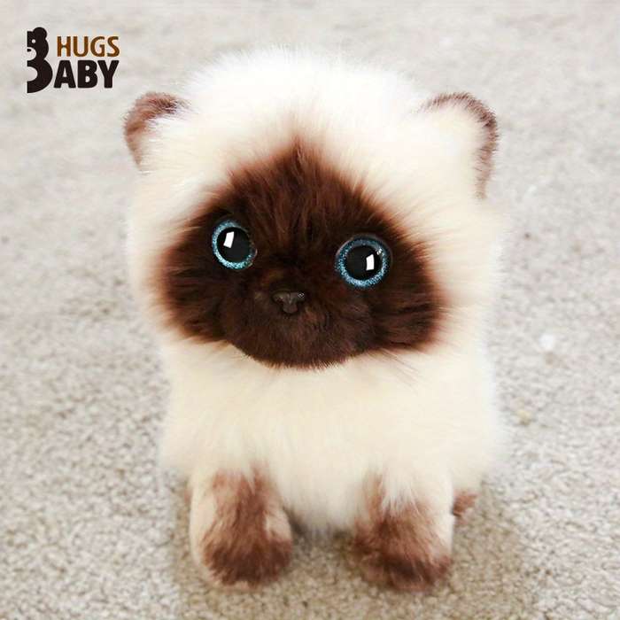 Toy Doll Color Cat Plush Size 26 Cm