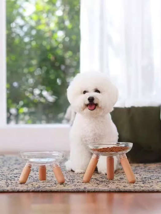 Pet Supplies Color Transparent Bowl  Add   Light Color Shelf  The Bowl Can Be Disassembled By Itself
