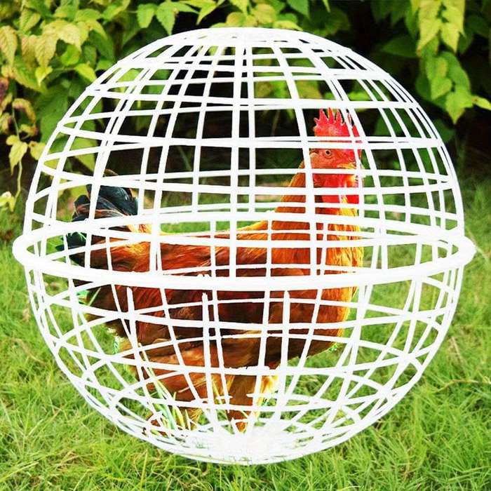 Pet Supplies Quantity 2Pcs