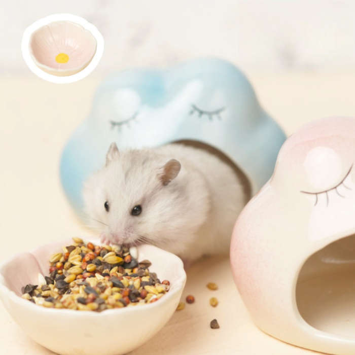Pet Supplies Quantity 2Pcs