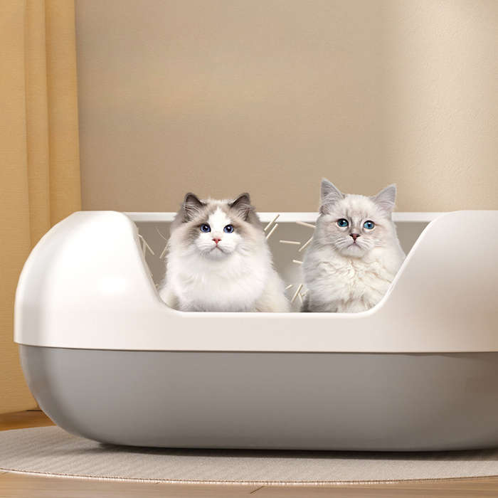 Pet supplies color Extra Large      Athens Gray