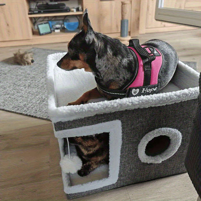 Pet supplies color Grey