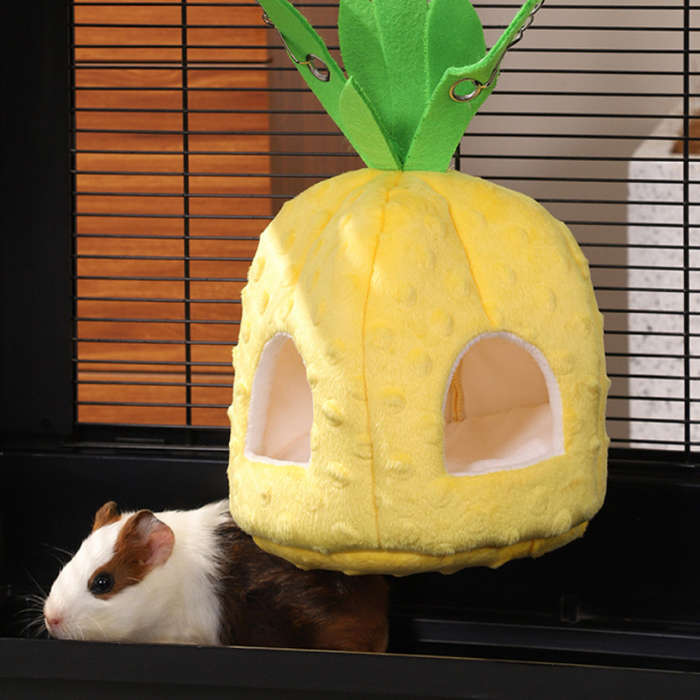 Pet Supplies Color Pineapple Size Size S Dwarf Rat