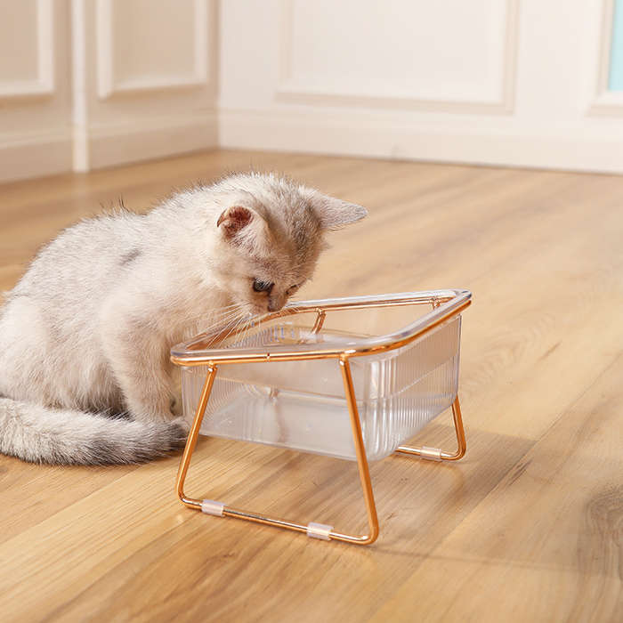 Pet Supplies Items Double