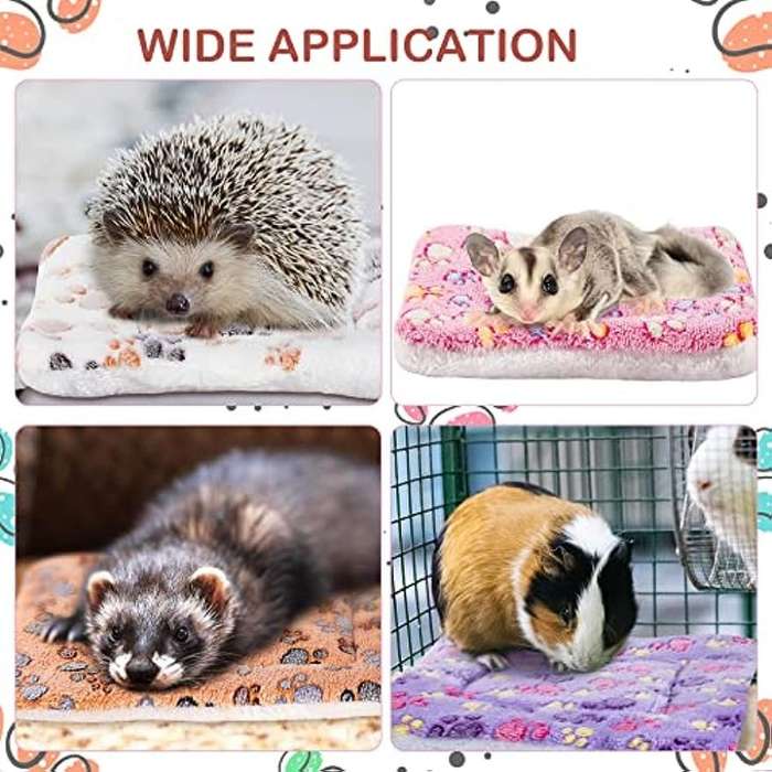 Pet supplies color Vivid Color size M 33.02 x 46.99 cm