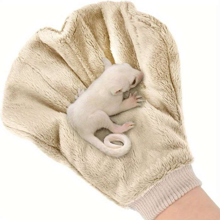 Pet Supplies Color Gray