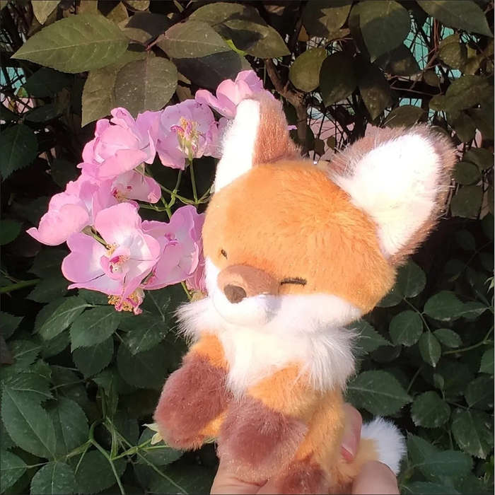 Toy Dolls Model Fox