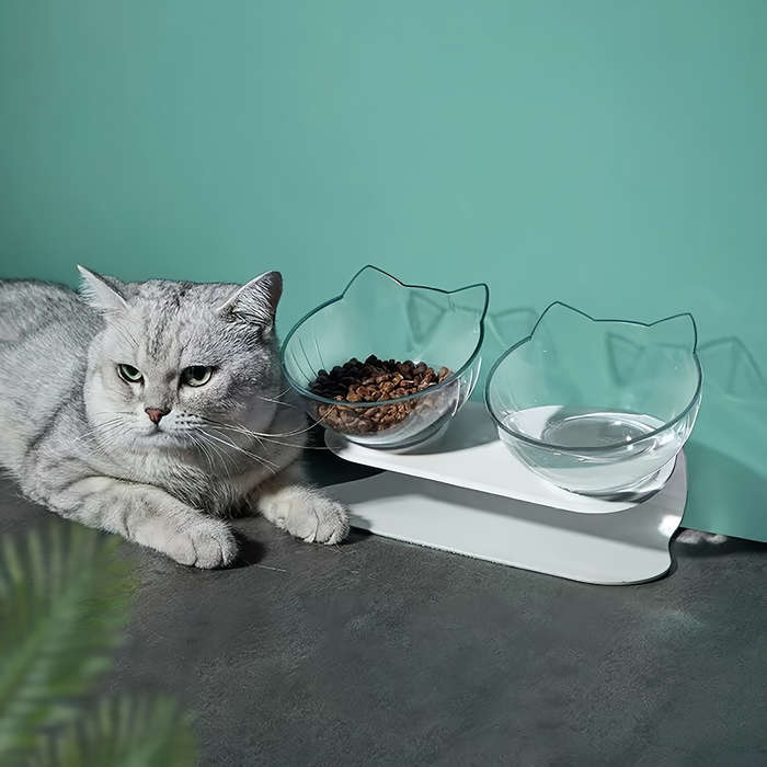 Pet supplies color white