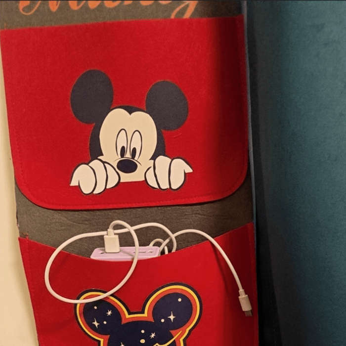 Storage And Organizationcolor Mickey