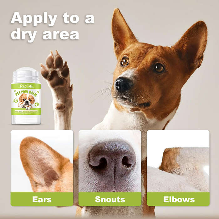 Pet supplies Quantity 1pc