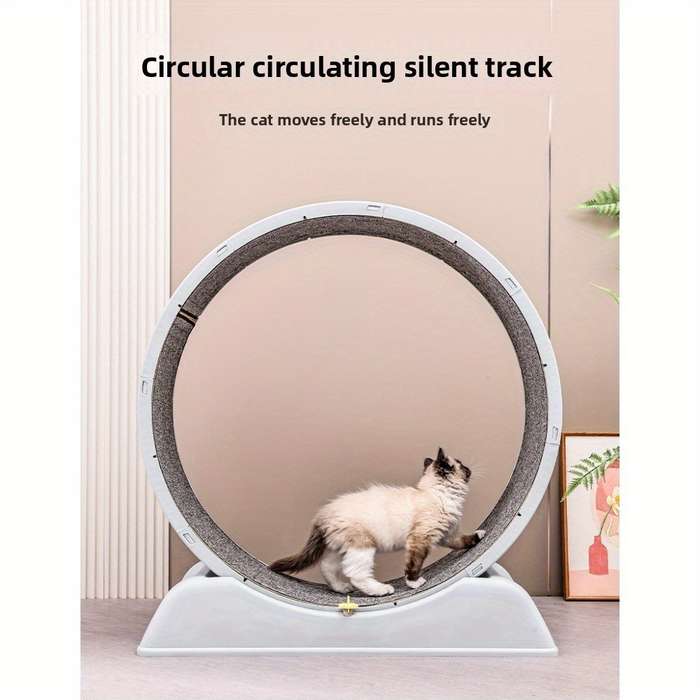Pet supplies color Blue