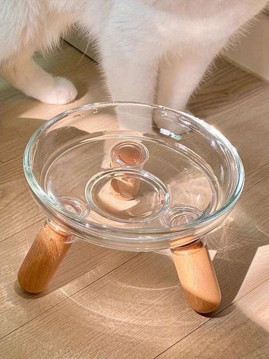 Pet Supplies Color Transparent Bowl  Add   Light Color Shelf  The Bowl Can Be Disassembled By Itself