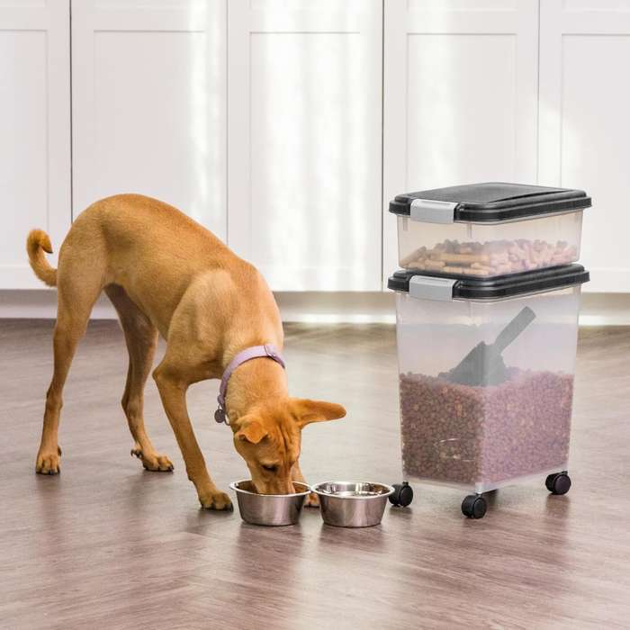 Pet Supplies Color Black
