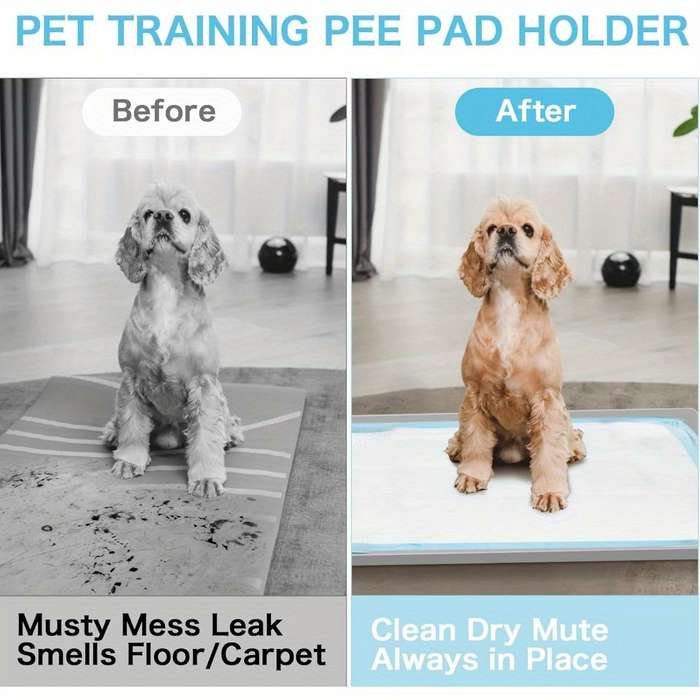 Pet supplies color Gray