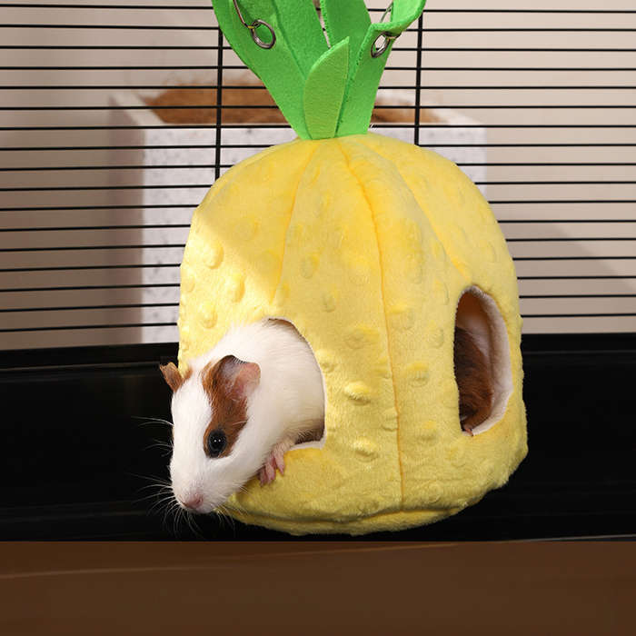 Pet Supplies Color Pineapple Size Size S Dwarf Rat