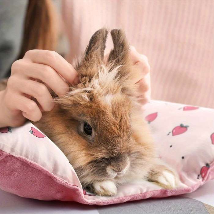 Pet Supplies Color Pink Size 35.56  40.64 Cm