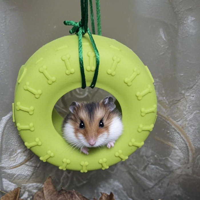 Pet Supplies Color Red