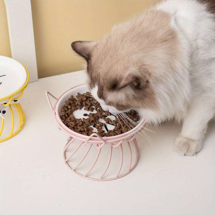 Pet Supplies Quantity 2 Pieces  1 Ceramic Bowl  Add   1 Stand