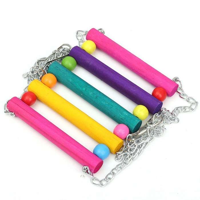 Pet supplies Model B style color