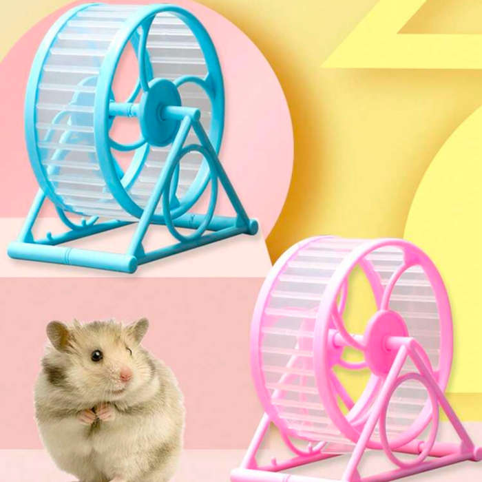Pet supplies color 1pc Blue