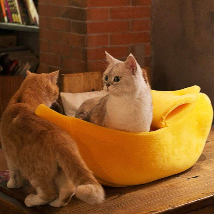 Pet supplies color Yellow size S