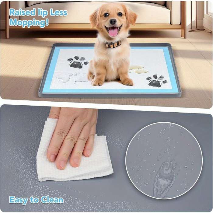 Pet supplies color grey